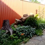 Mandrivnyk Mykulytjyn