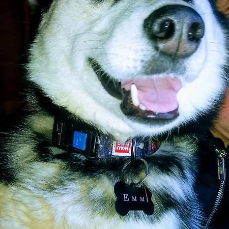 Mandrivnyk Ferienhaus *