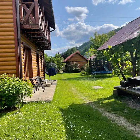 Mandrivnyk Mykulytjyn