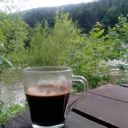 Mandrivnyk Mykulytjyn