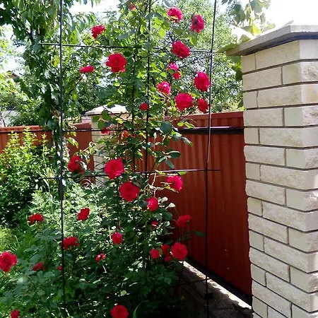 Mandrivnyk Ferienhaus Mykulytschyn