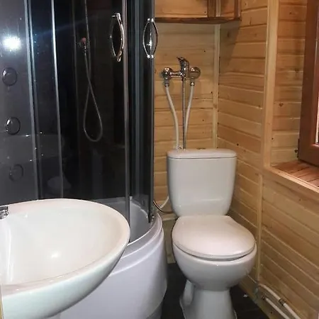 Mandrivnyk Mykulytjyn