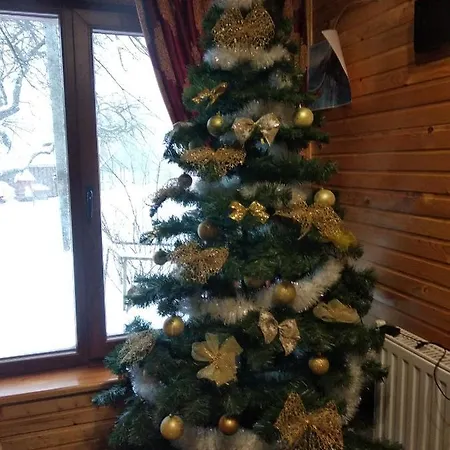 Дом отдыха Mandrivnyk